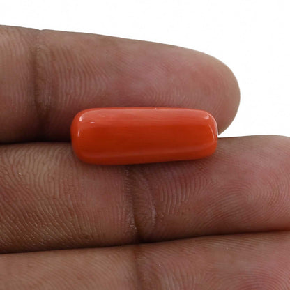 Red Coral (Moonga) - 10.04 Carat