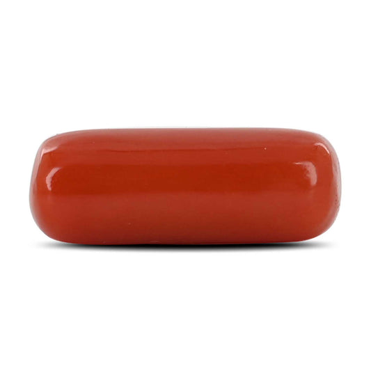 Red Coral (Moonga) - 8.24 Carat