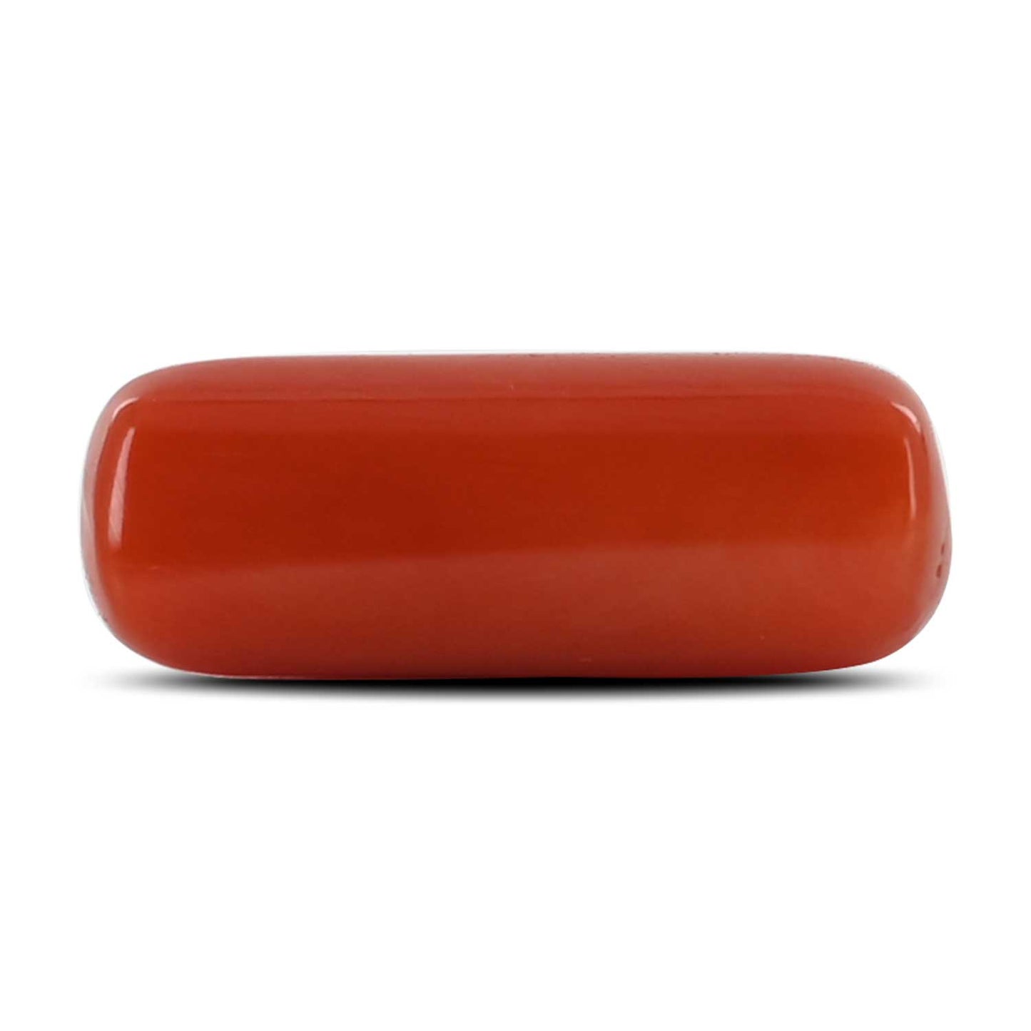 Red Coral (Moonga) - 8.24 Carat