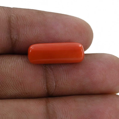 Red Coral (Moonga) - 8.24 Carat