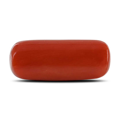 Red Coral (Moonga) - 10.59 Carat
