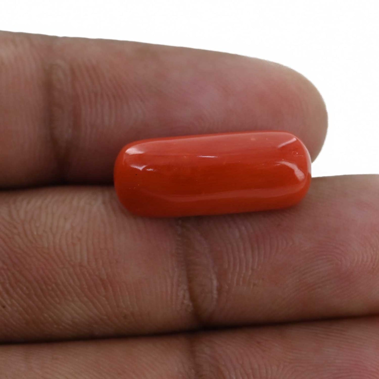 Red Coral (Moonga) - 10.59 Carat