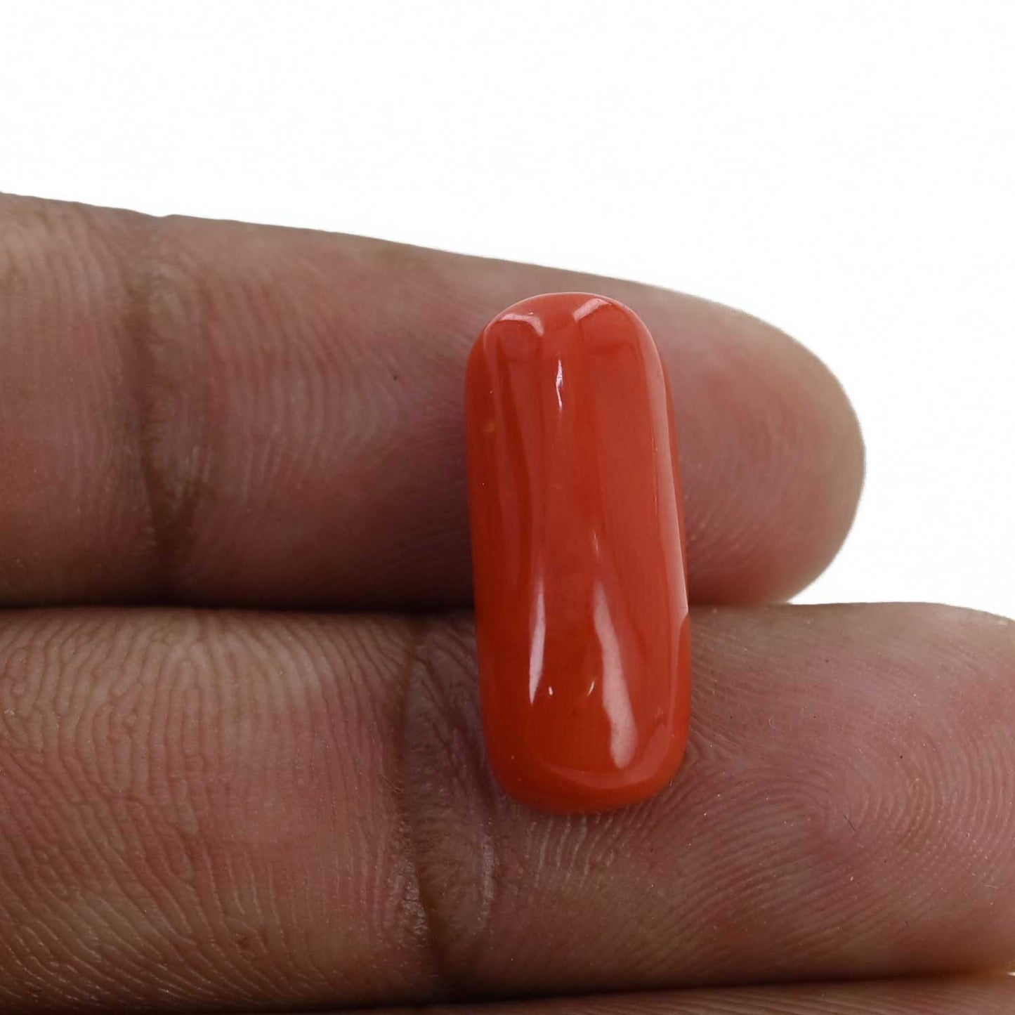 Red Coral (Moonga) - 10.59 Carat