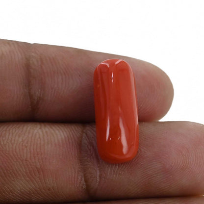 Red Coral (Moonga) - 10.59 Carat