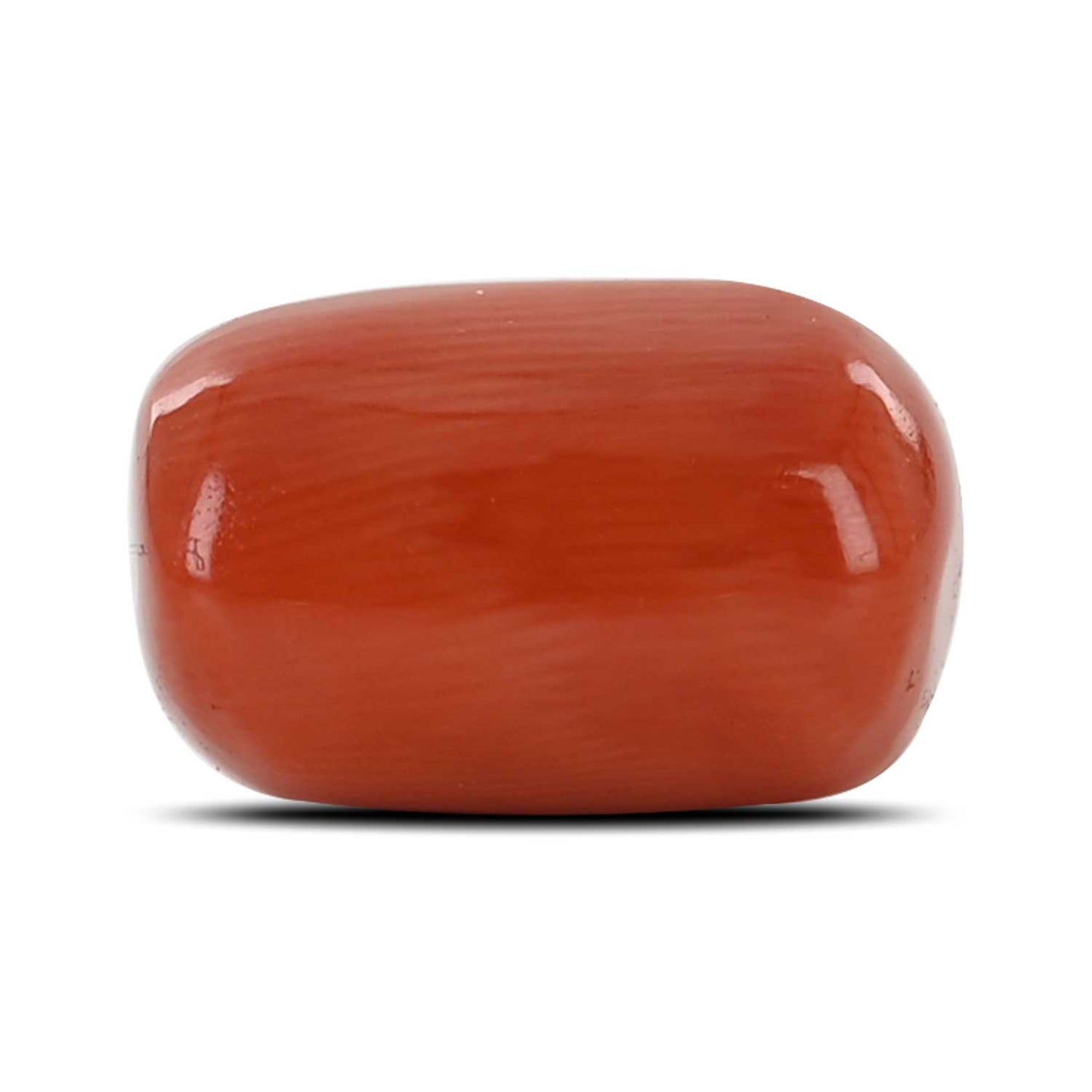 Red Coral (Moonga) - 12.27 Carat