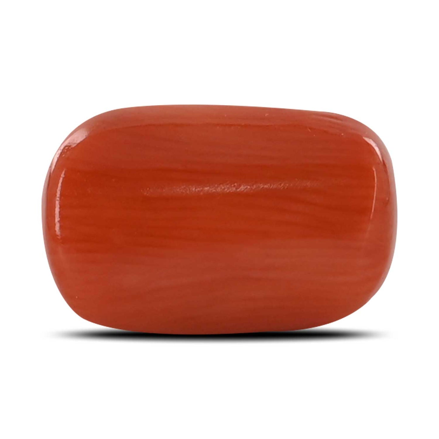 Red Coral (Moonga) - 12.27 Carat