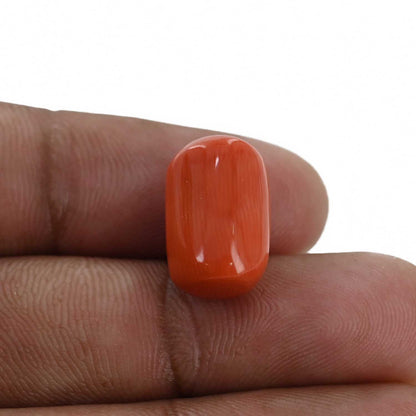 Red Coral (Moonga) - 12.27 Carat