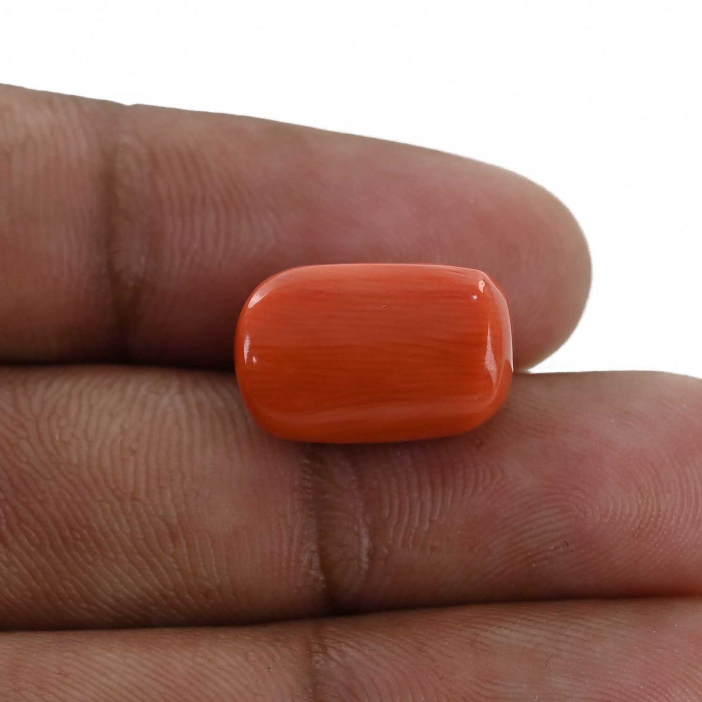 Red Coral (Moonga) - 12.27 Carat