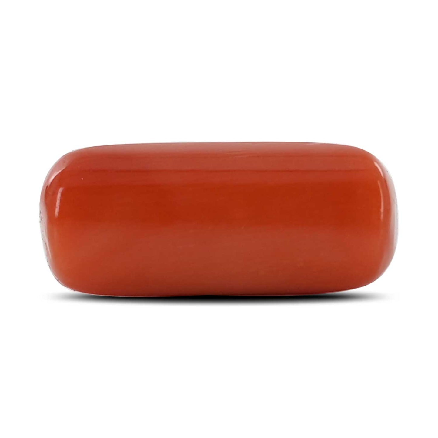 Red Coral (Moonga) - 10.52 Carat
