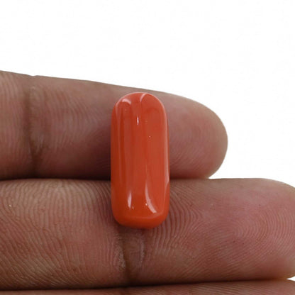 Red Coral (Moonga) - 10.52 Carat