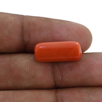 Red Coral (Moonga) - 10.52 Carat