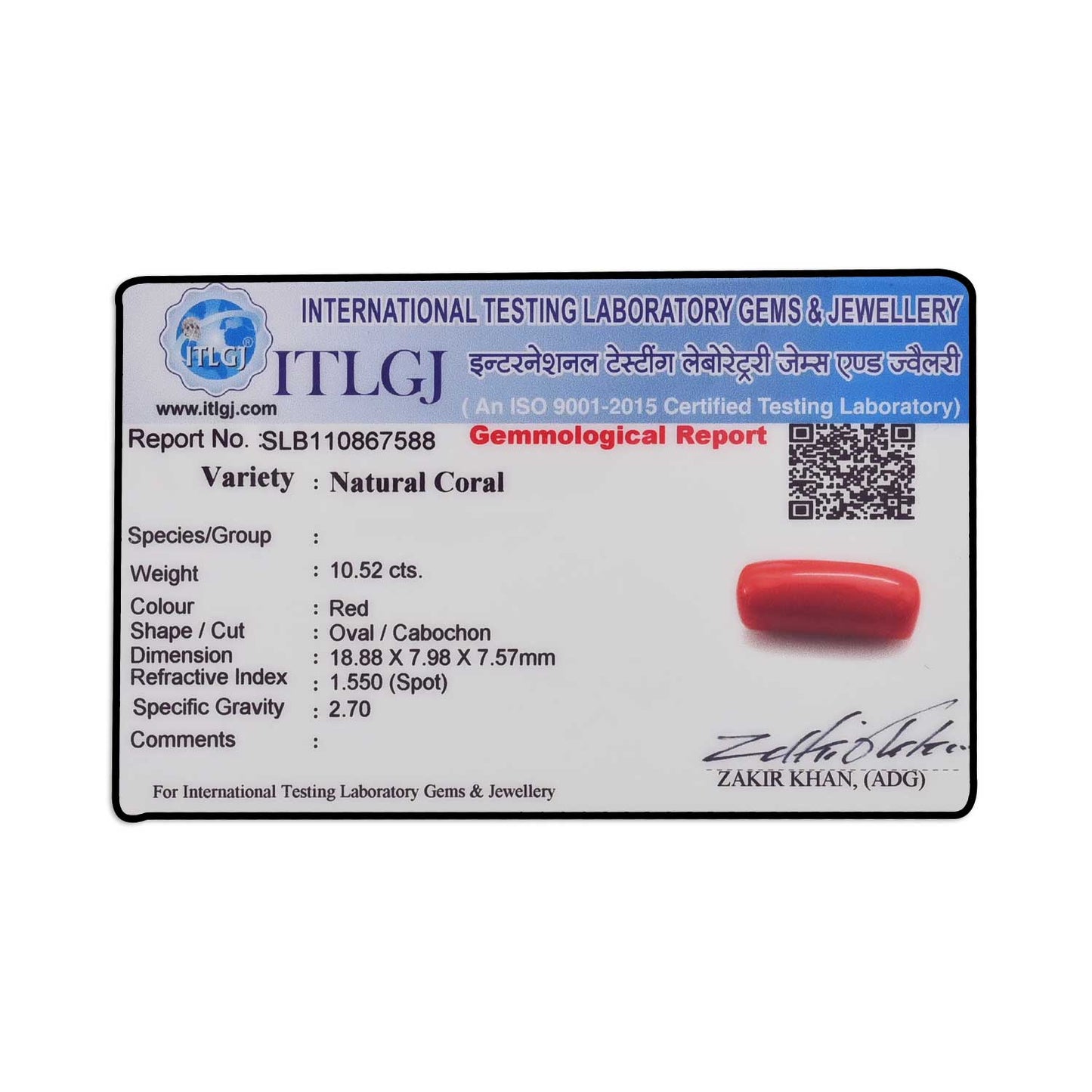 Red Coral (Moonga) - 10.52 Carat