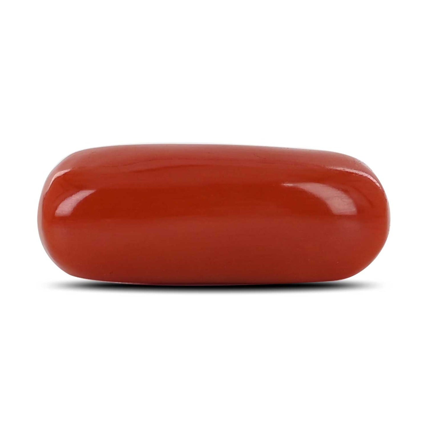 Red Coral (Moonga) - 10.71 Carat