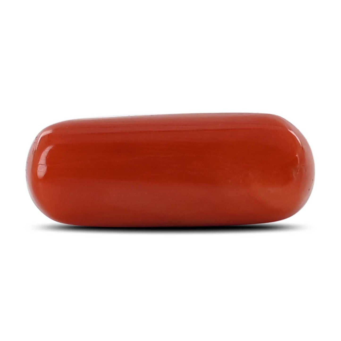 Red Coral (Moonga) - 10.71 Carat