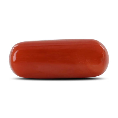 Red Coral (Moonga) - 10.71 Carat