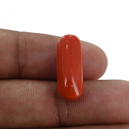 Red Coral (Moonga) - 10.71 Carat