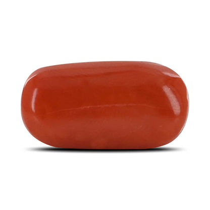 Red Coral (Moonga) - 16.93 Carat