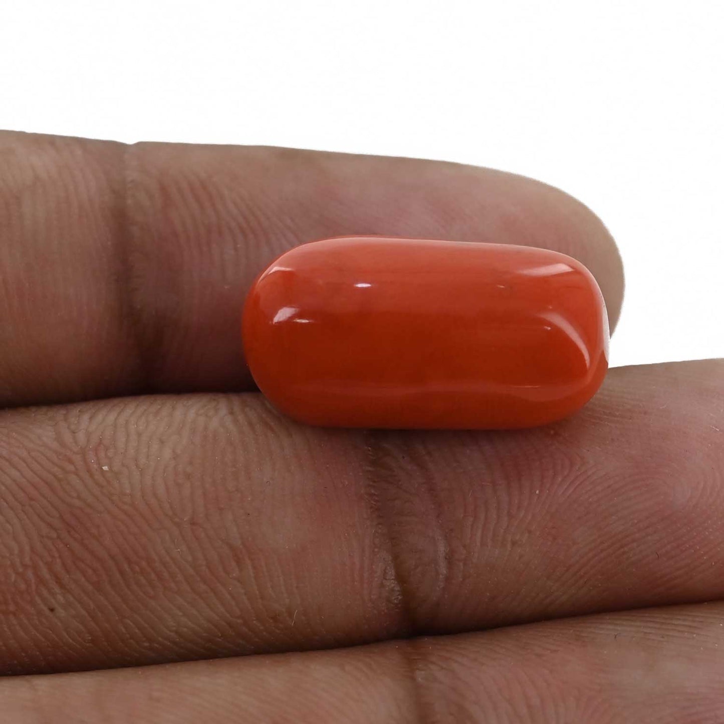 Red Coral (Moonga) - 16.93 Carat