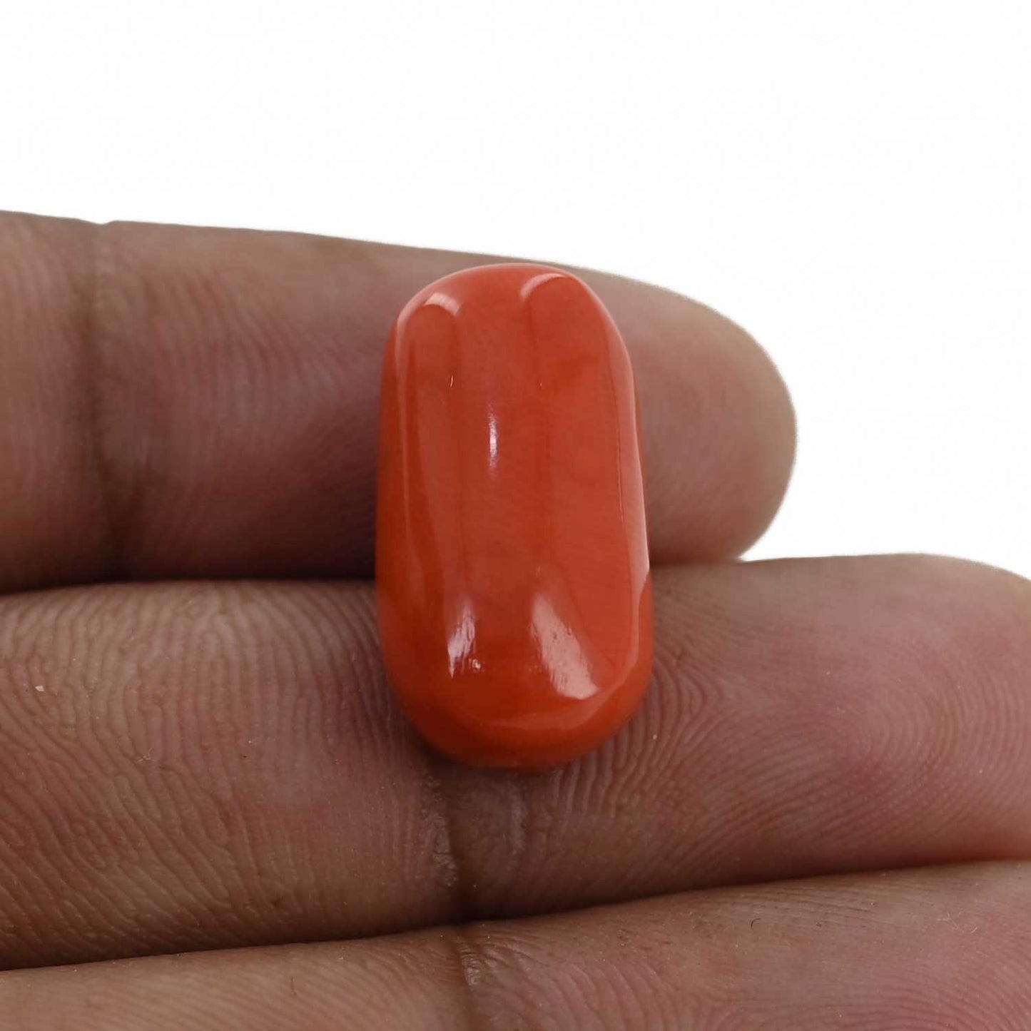 Red Coral (Moonga) - 16.93 Carat