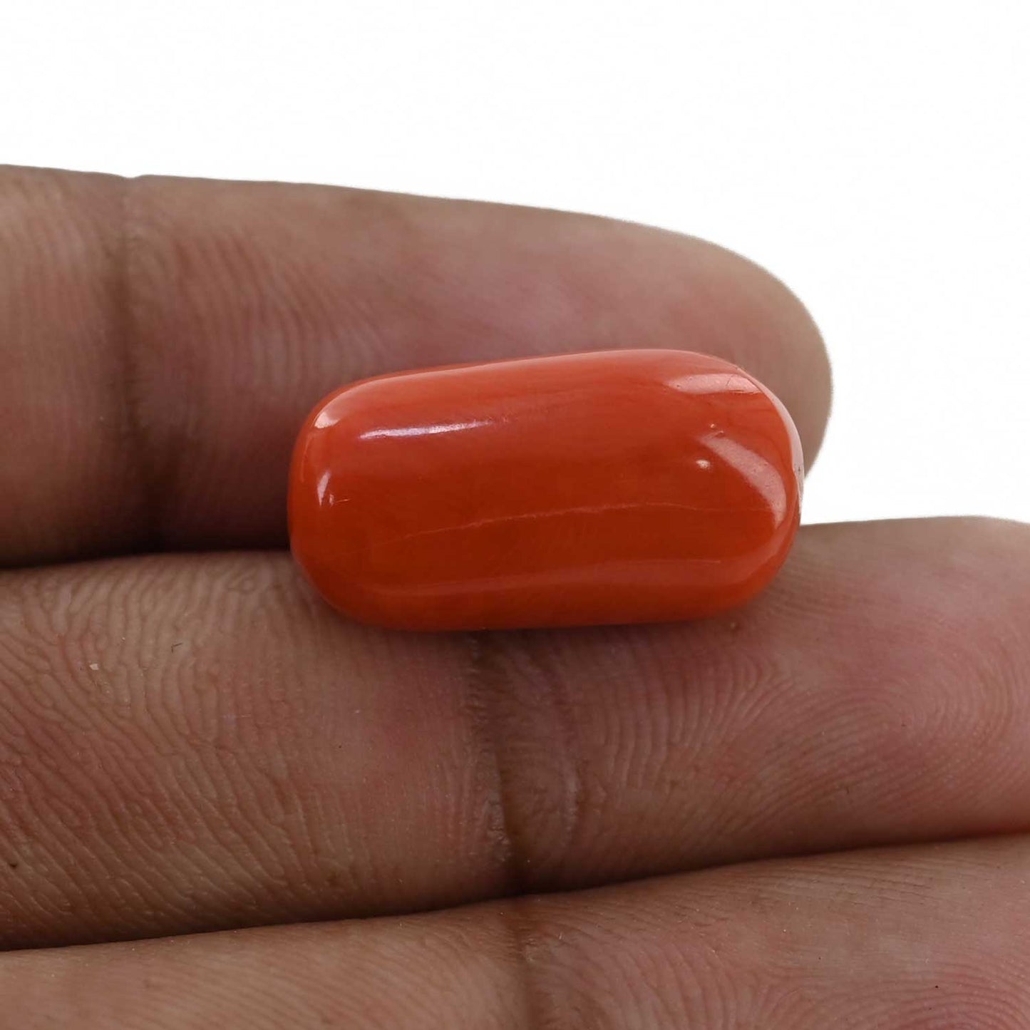 Red Coral (Moonga) - 16.93 Carat