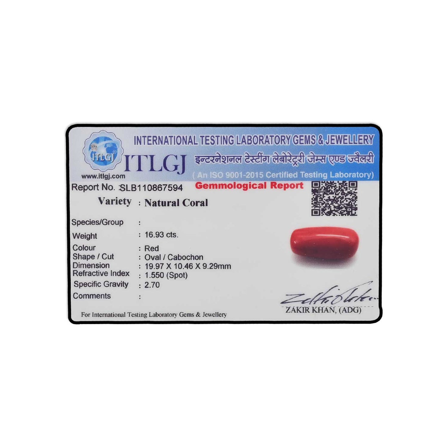 Red Coral (Moonga) - 16.93 Carat