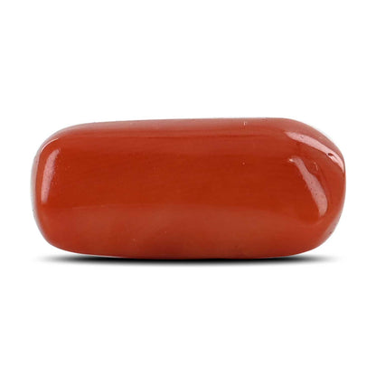 Red Coral (Moonga) - 10.25 Carat
