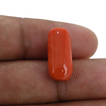 Red Coral (Moonga) - 10.25 Carat