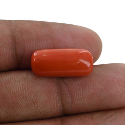 Red Coral (Moonga) - 10.25 Carat