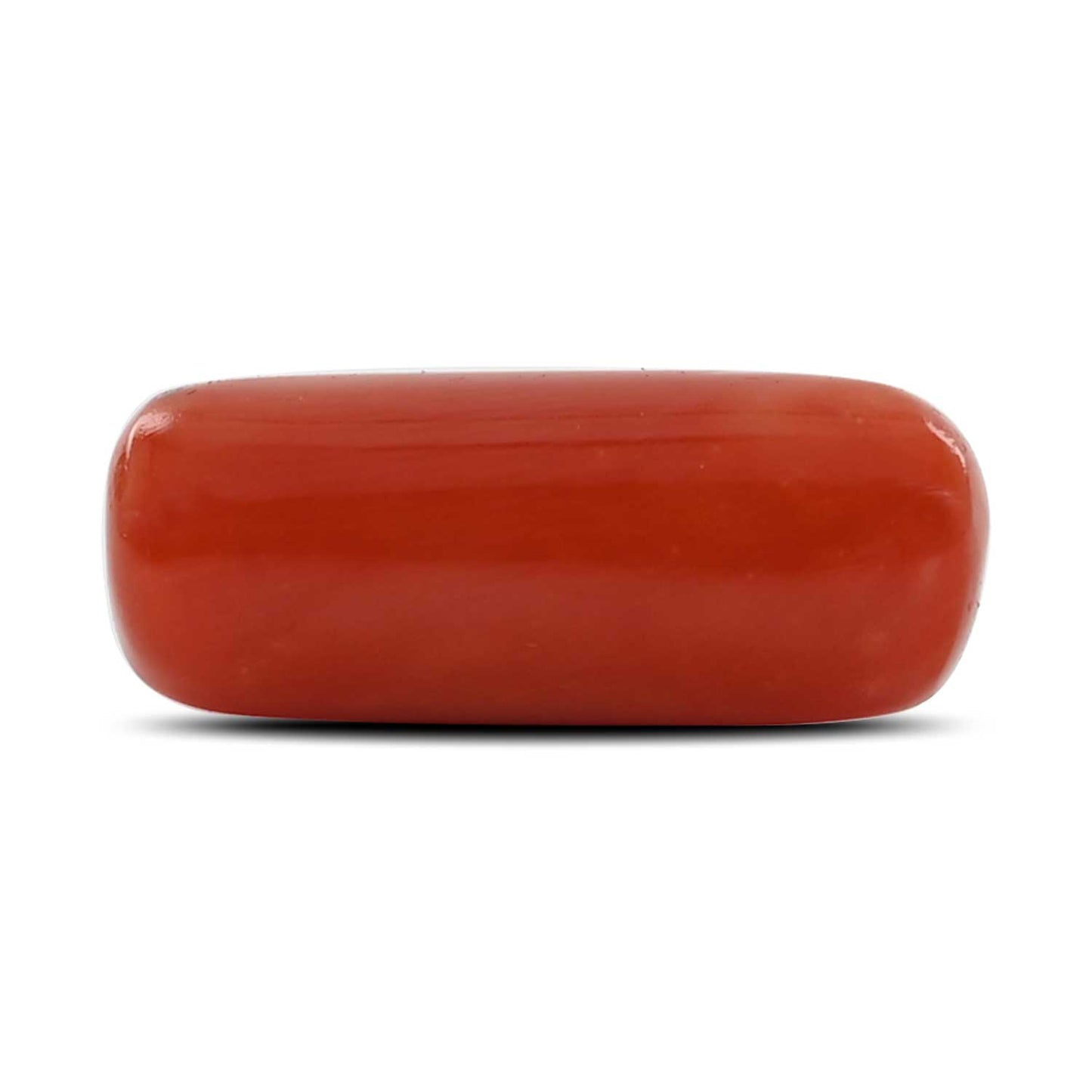 Red Coral (Moonga) - 9.8 Carat