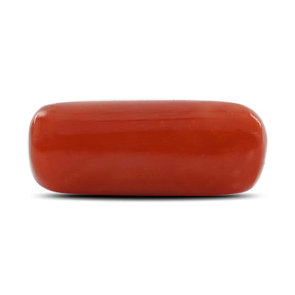 Red Coral (Moonga) - 9.8 Carat