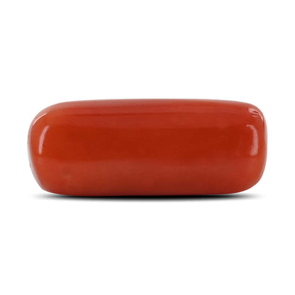 Red Coral (Moonga) - 9.8 Carat