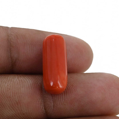 Red Coral (Moonga) - 9.8 Carat