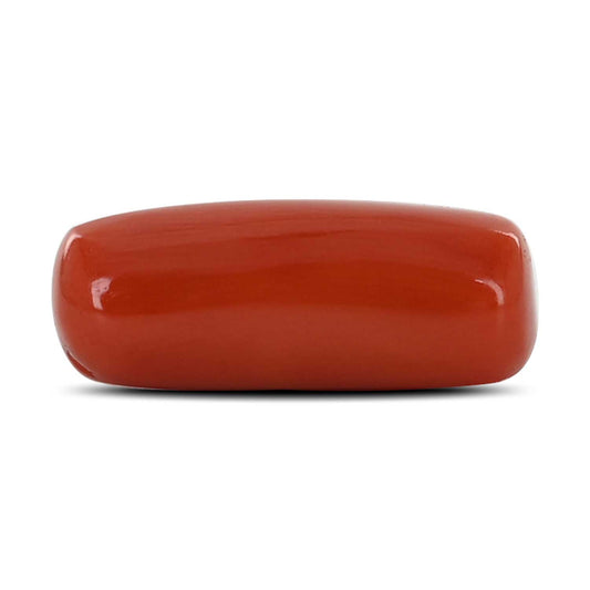 Red Coral (Moonga) - 8.15 Carat