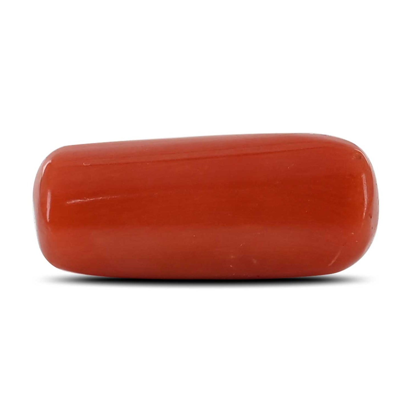 Red Coral (Moonga) - 10.49 Carat