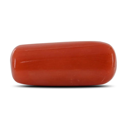 Red Coral (Moonga) - 10.49 Carat