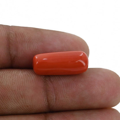 Red Coral (Moonga) - 10.49 Carat