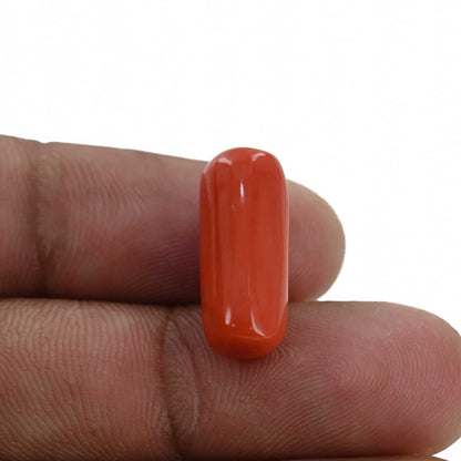 Red Coral (Moonga) - 10.49 Carat