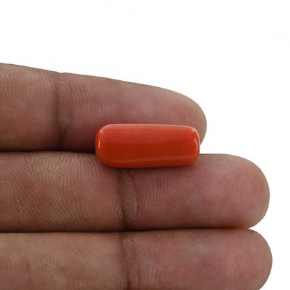 Red Coral (Moonga) - 10.49 Carat