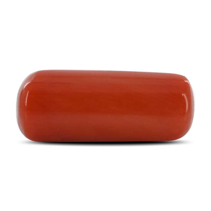 Red Coral (Moonga) - 8.26 Carat