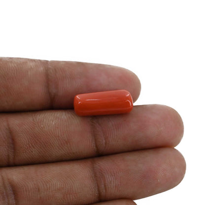 Red Coral (Moonga) - 8.26 Carat