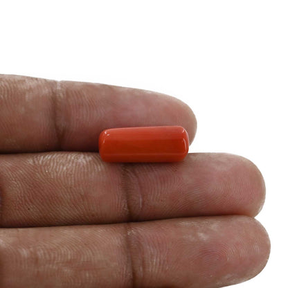 Red Coral (Moonga) - 8.26 Carat