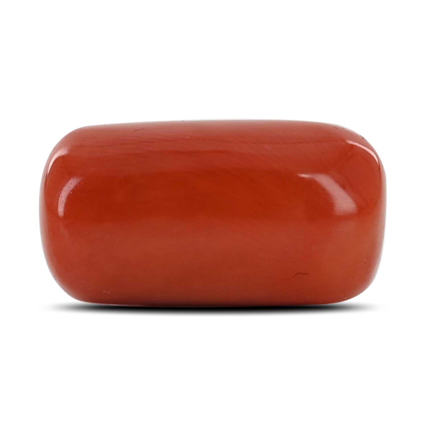 Red Coral (Moonga) - 16.16 Carat
