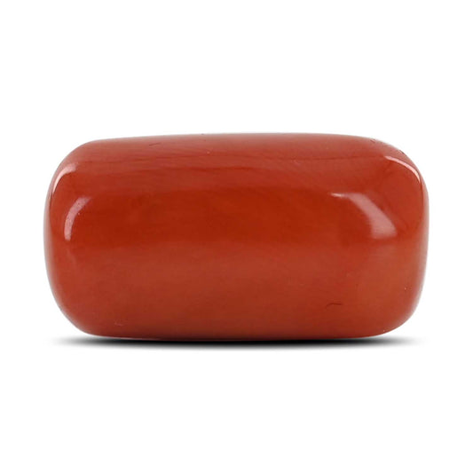 Red Coral (Moonga) - 16.16 Carat