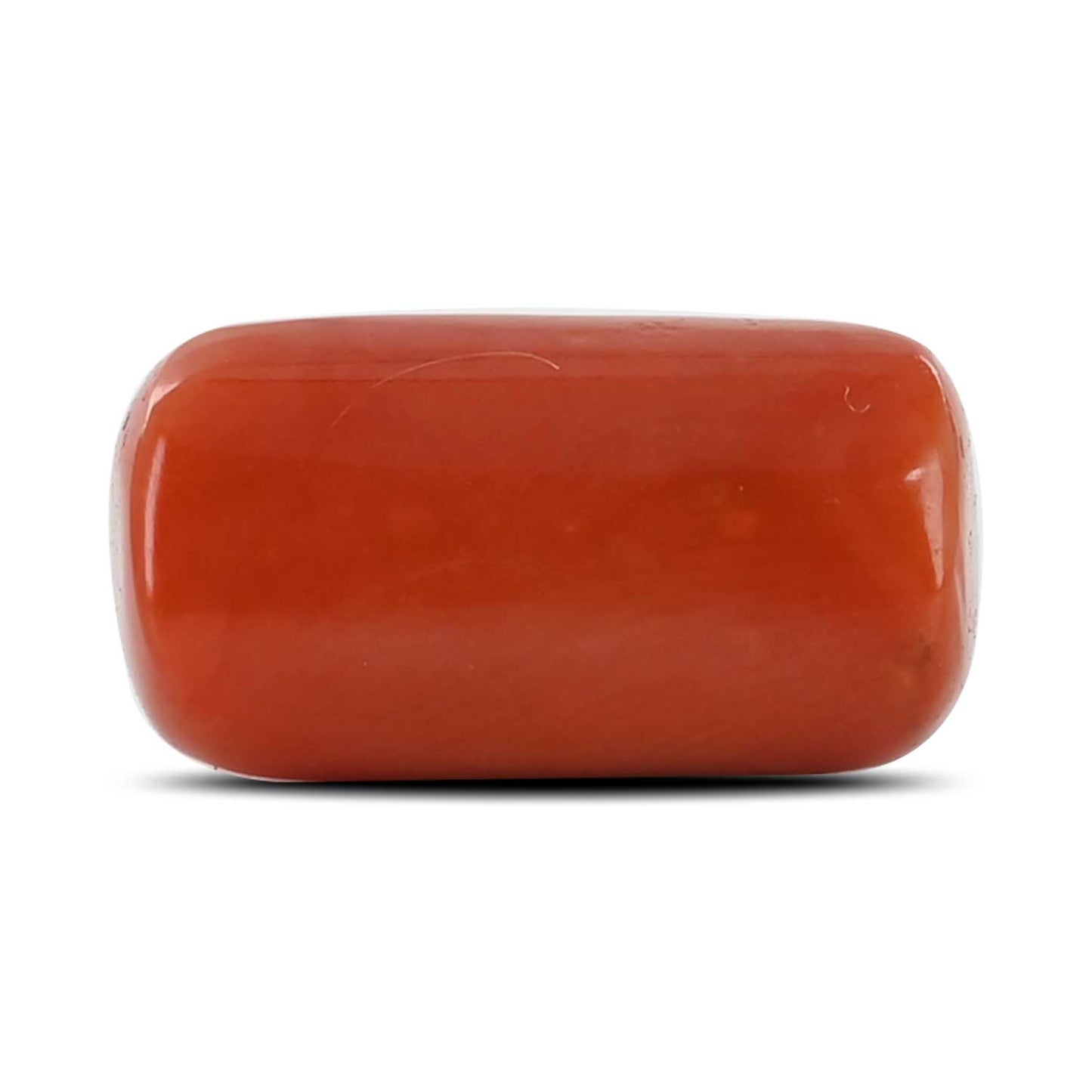 Red Coral (Moonga) - 16.16 Carat