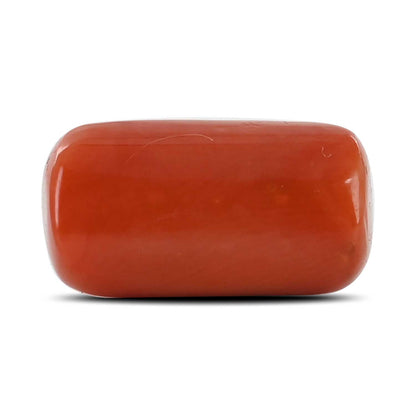 Red Coral (Moonga) - 16.16 Carat