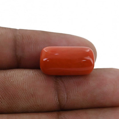 Red Coral (Moonga) - 16.16 Carat