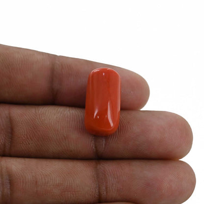 Red Coral (Moonga) - 16.16 Carat