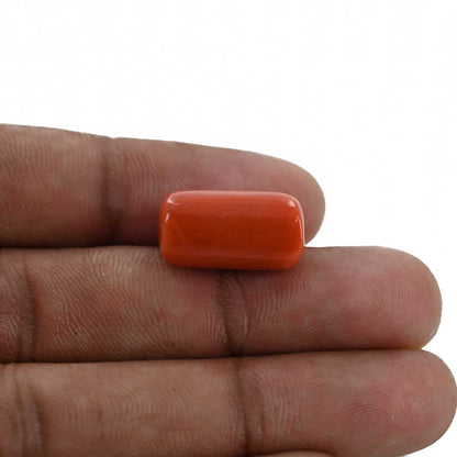 Red Coral (Moonga) - 16.16 Carat