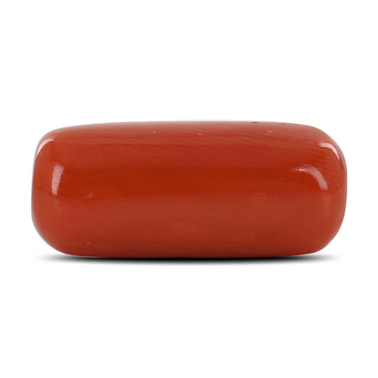 Red Coral (Moonga) - 8.62 Carat