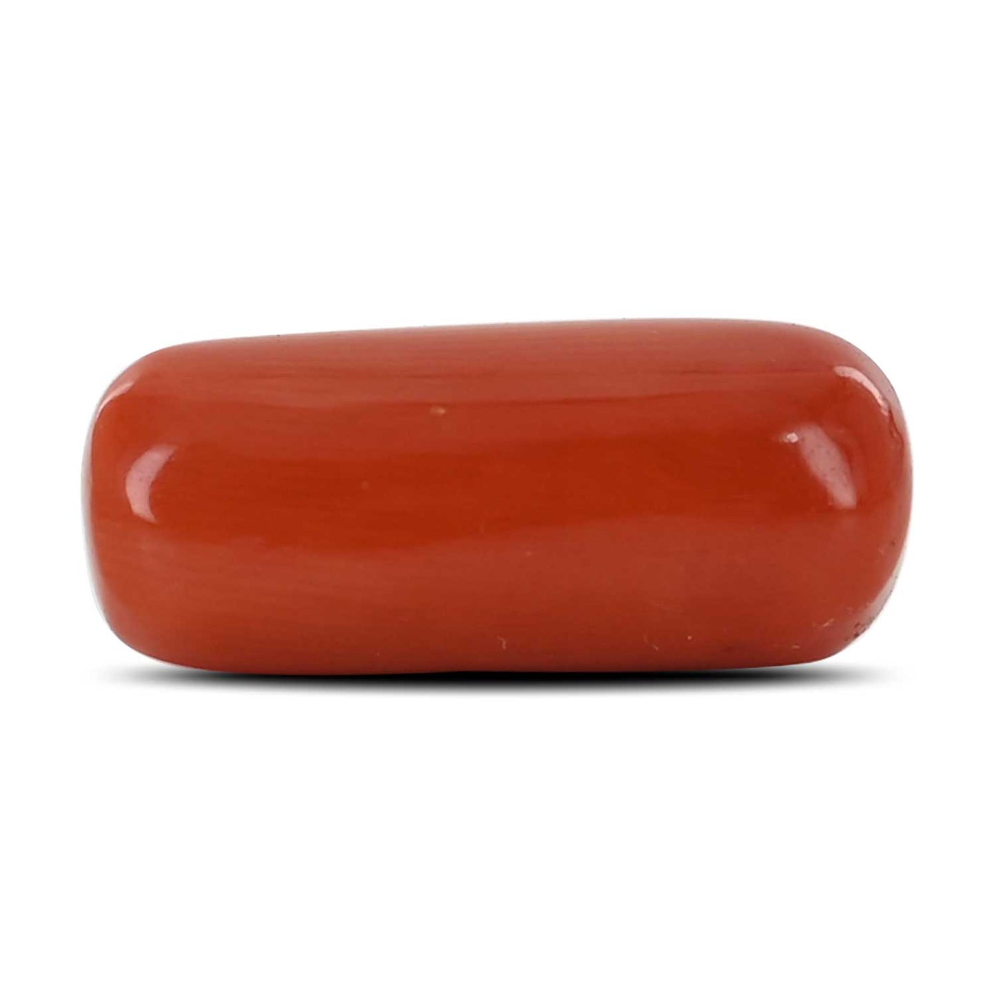 Red Coral (Moonga) - 12.2 Carat